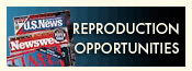 reproduction opportunities