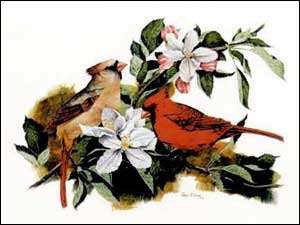 cardinals